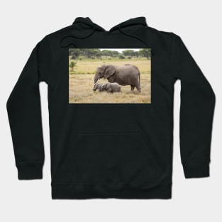 African Elephants: Adult With Two Young Hoodie